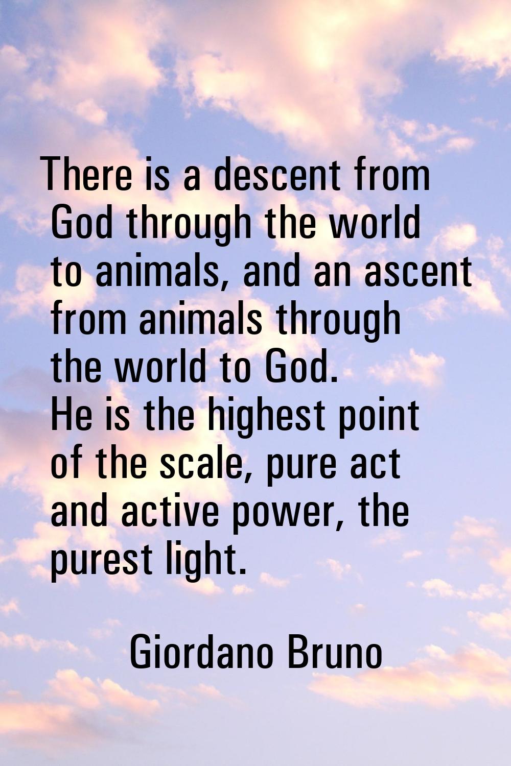 There is a descent from God through the world to animals, and an ascent from animals through the wo