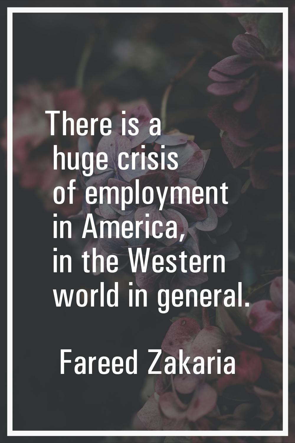 There is a huge crisis of employment in America, in the Western world in general.