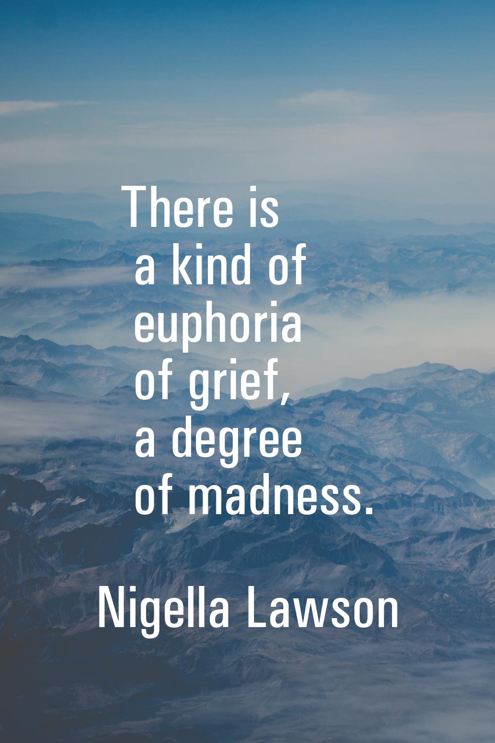 There is a kind of euphoria of grief, a degree of madness.