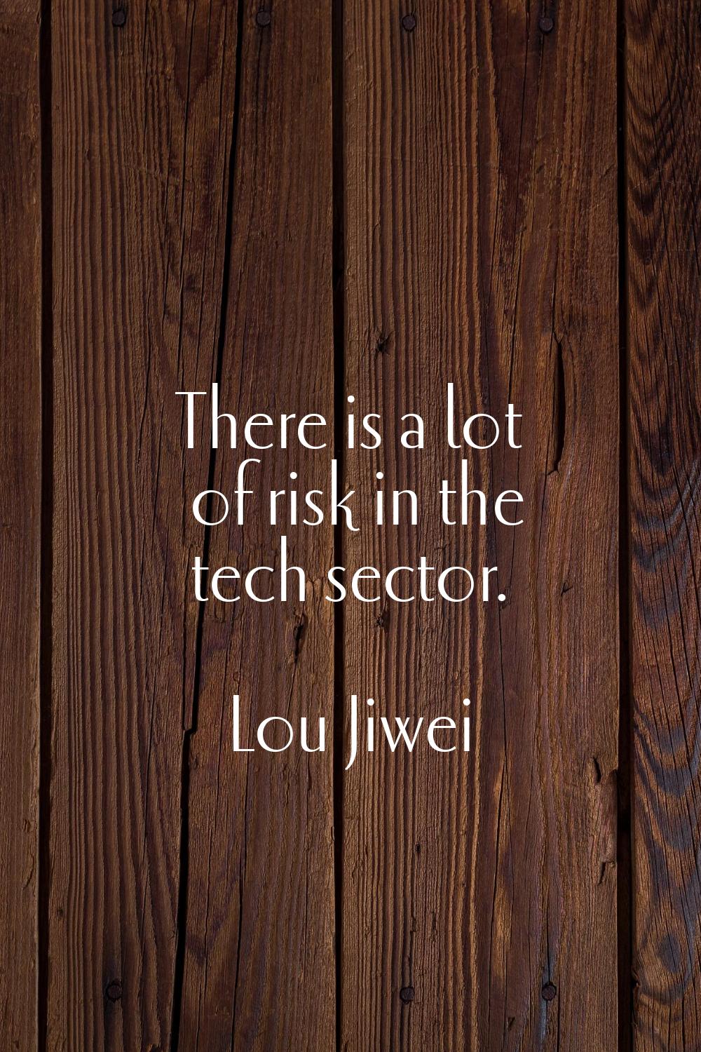 There is a lot of risk in the tech sector.
