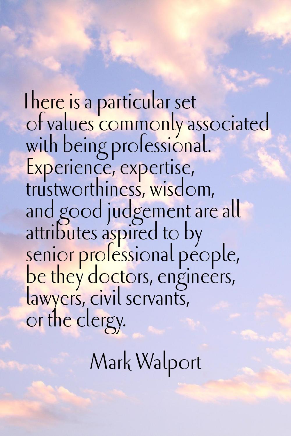 There is a particular set of values commonly associated with being professional. Experience, expert