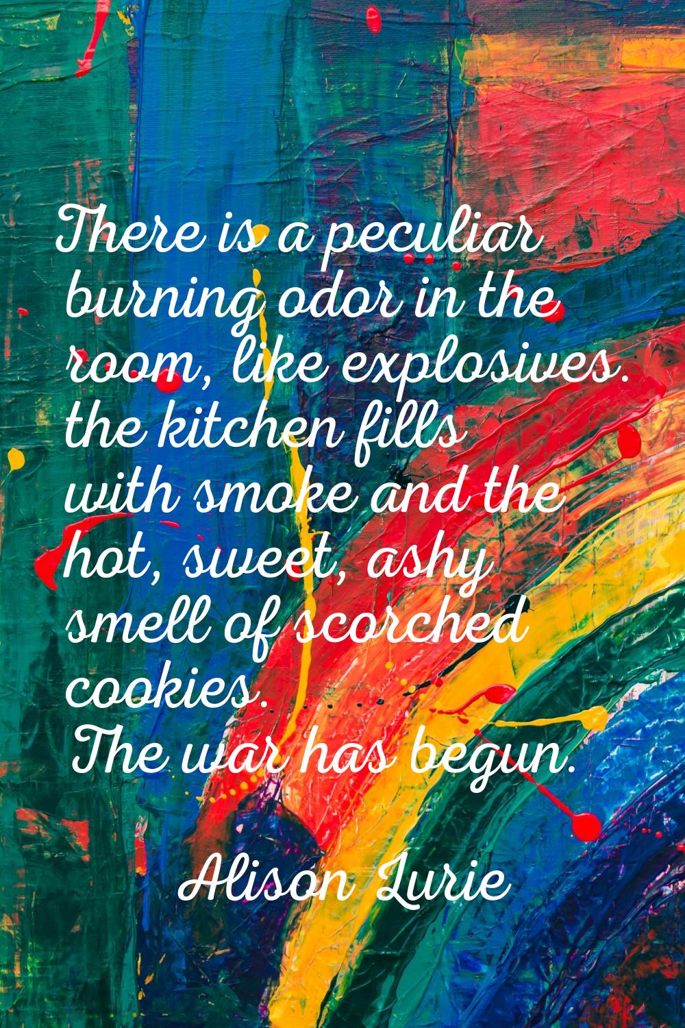 There is a peculiar burning odor in the room, like explosives. the kitchen fills with smoke and the