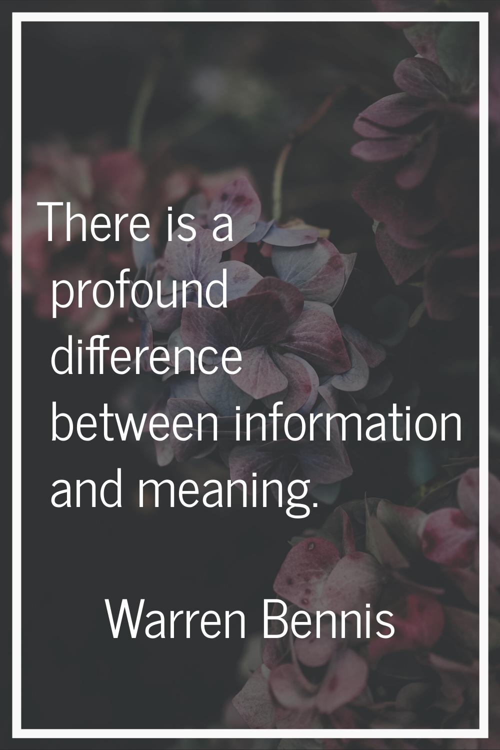 There is a profound difference between information and meaning.