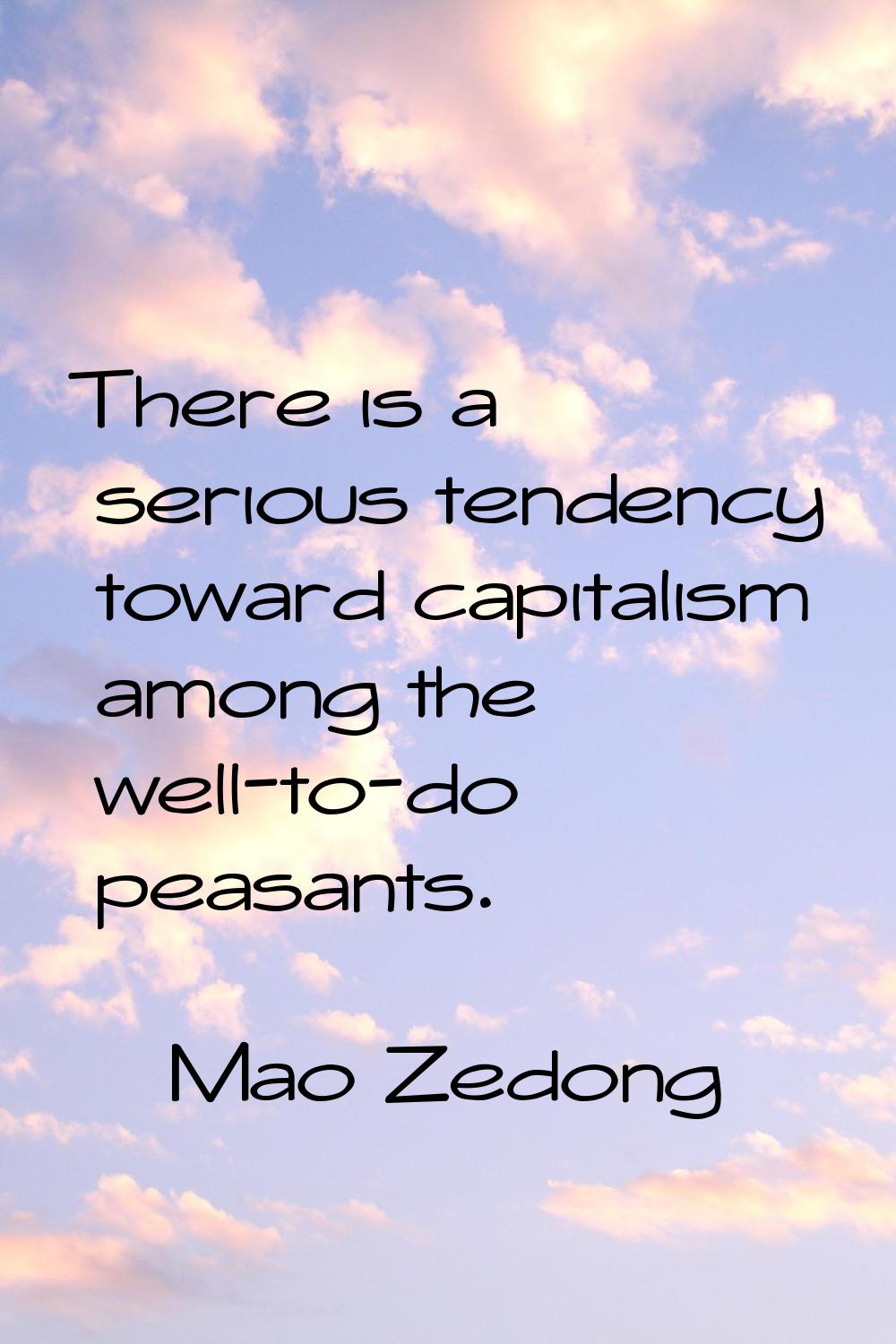 There is a serious tendency toward capitalism among the well-to-do peasants.