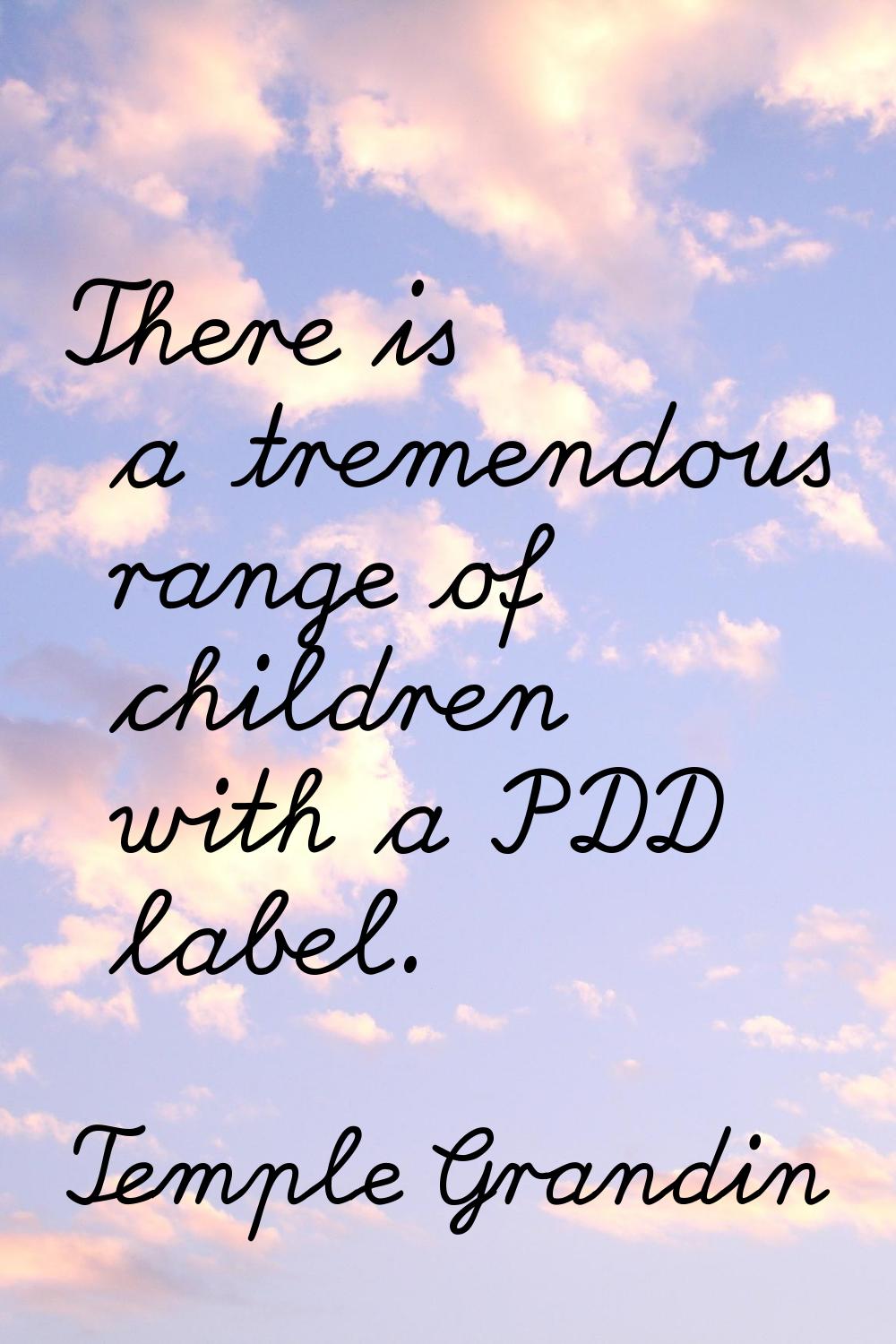 There is a tremendous range of children with a PDD label.