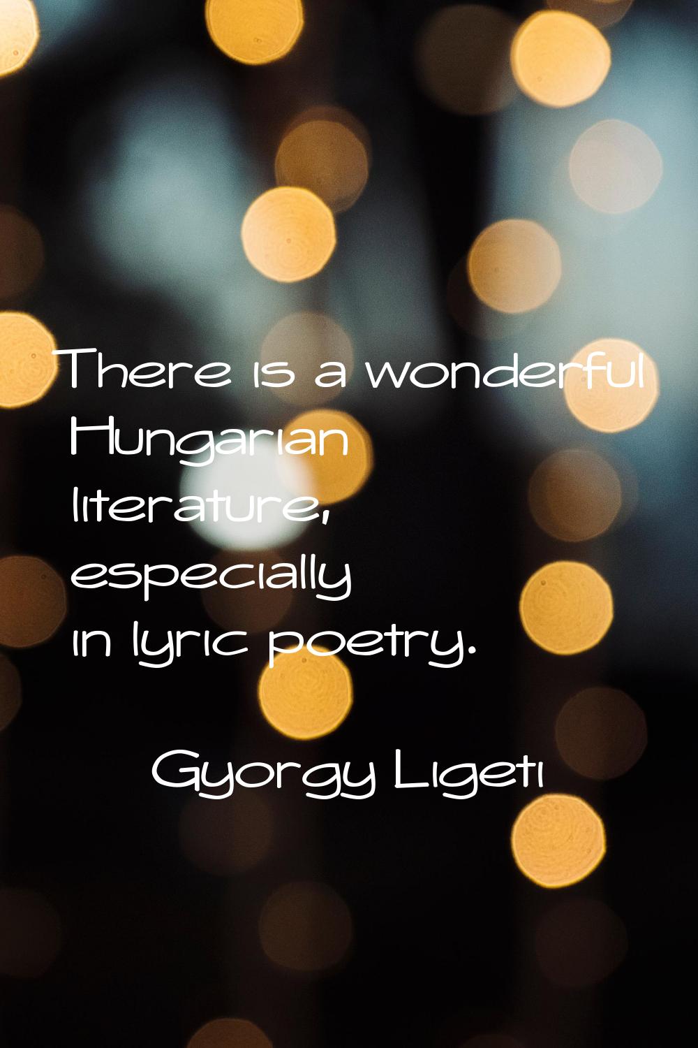 There is a wonderful Hungarian literature, especially in lyric poetry.