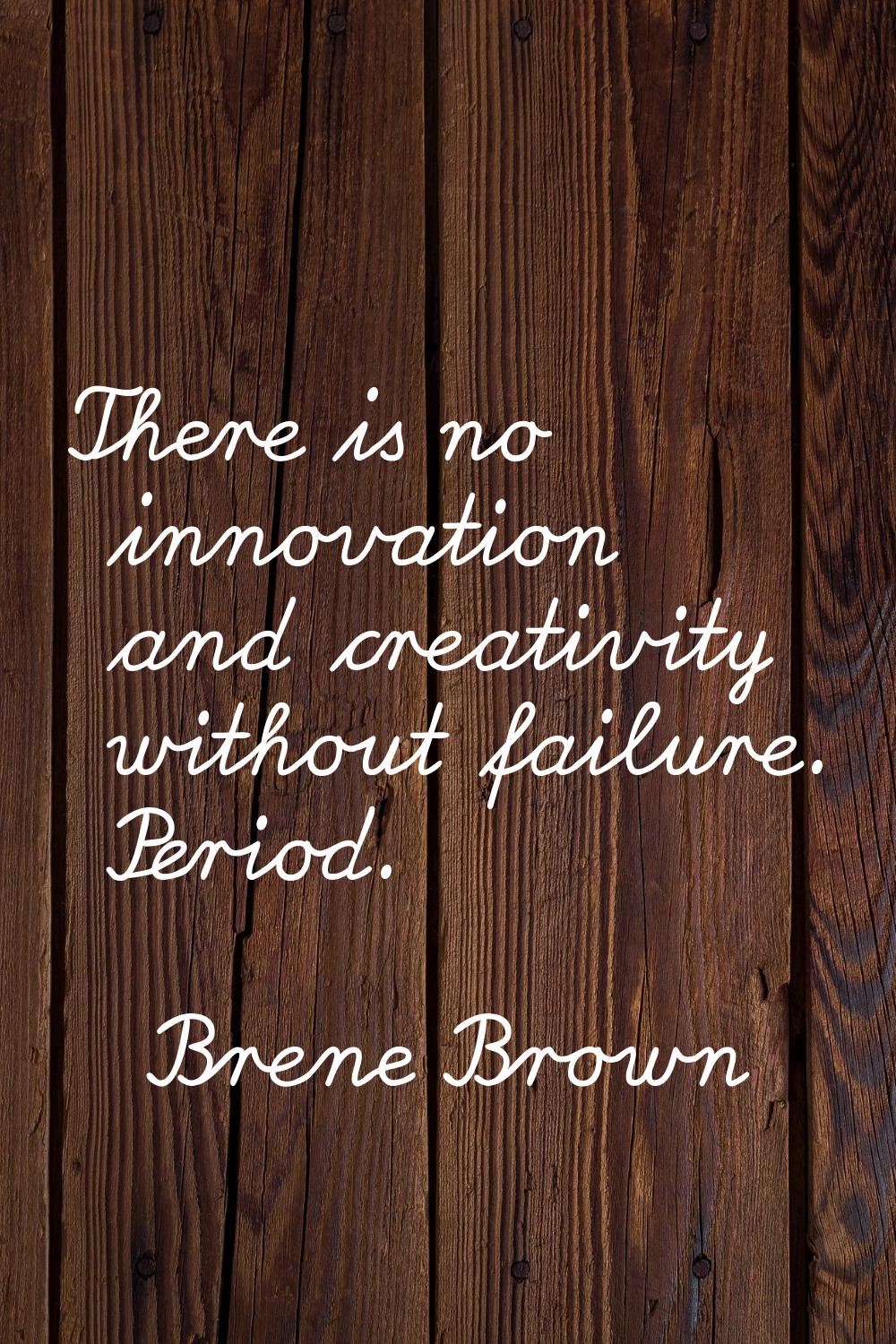 There is no innovation and creativity without failure. Period.
