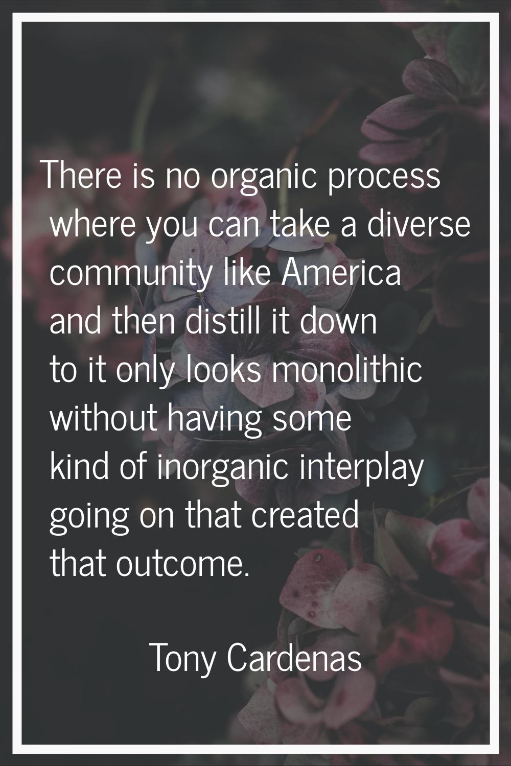 There is no organic process where you can take a diverse community like America and then distill it