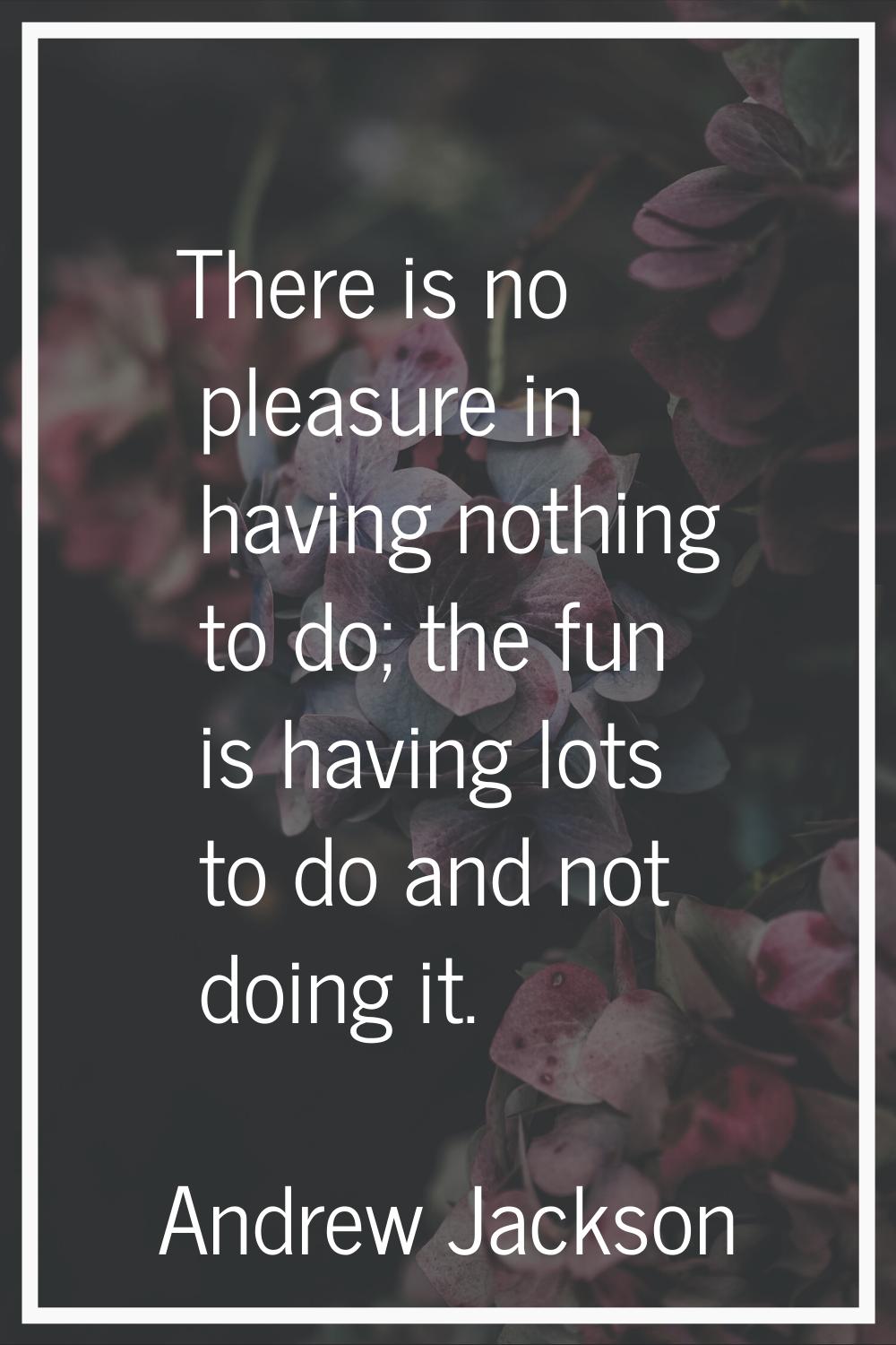 There is no pleasure in having nothing to do; the fun is having lots to do and not doing it.