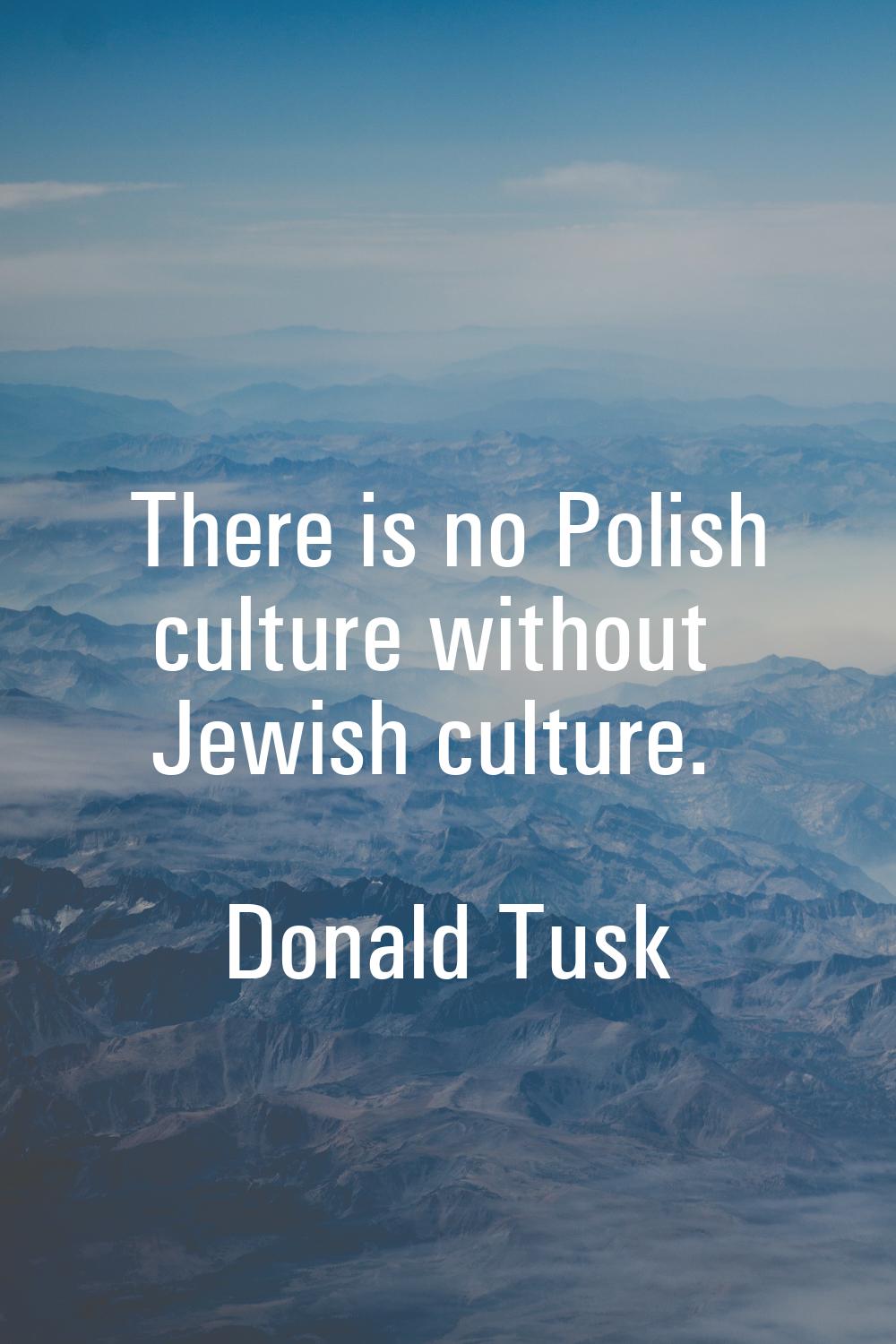 There is no Polish culture without Jewish culture.