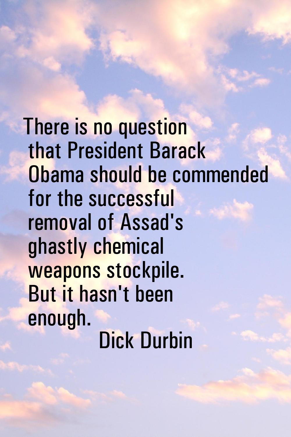 There is no question that President Barack Obama should be commended for the successful removal of 
