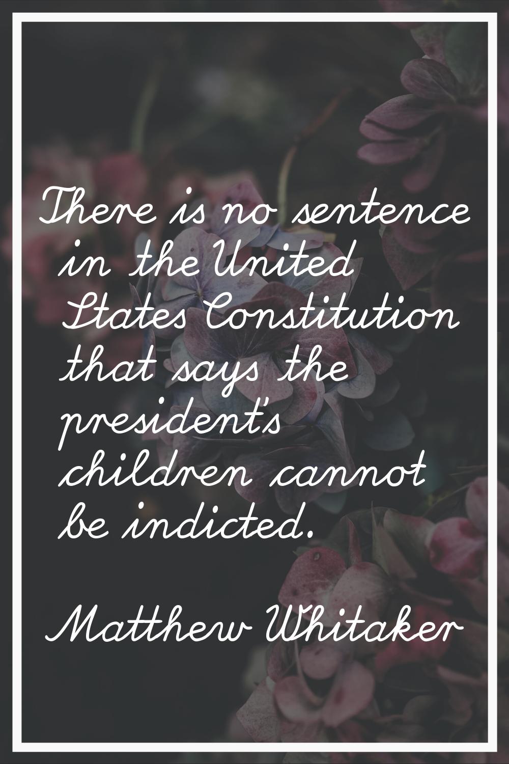 There is no sentence in the United States Constitution that says the president's children cannot be