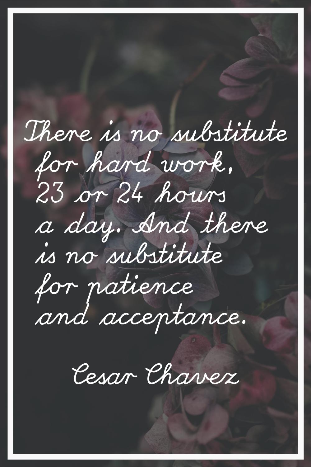 There is no substitute for hard work, 23 or 24 hours a day. And there is no substitute for patience