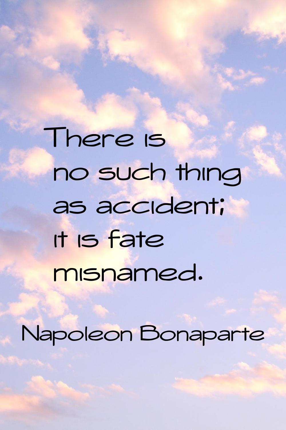 There is no such thing as accident; it is fate misnamed.