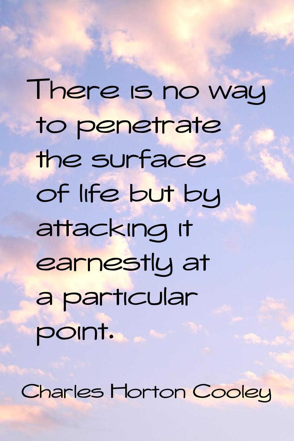 There is no way to penetrate the surface of life but by attacking it earnestly at a particular poin