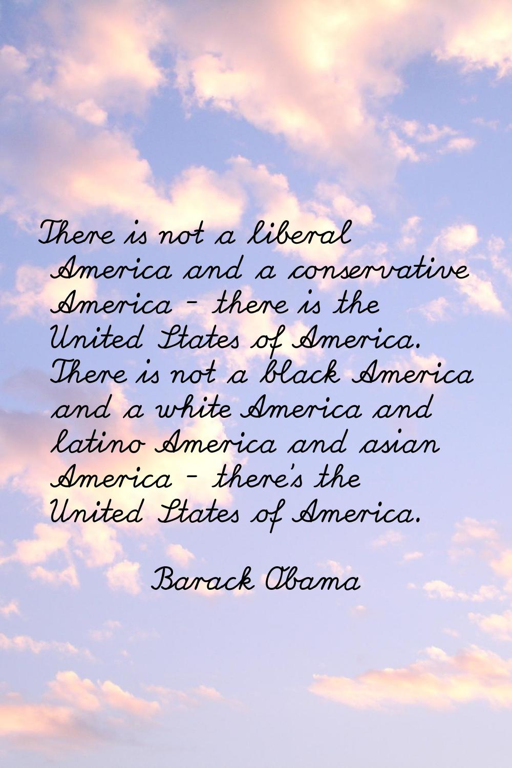 There is not a liberal America and a conservative America - there is the United States of America. 