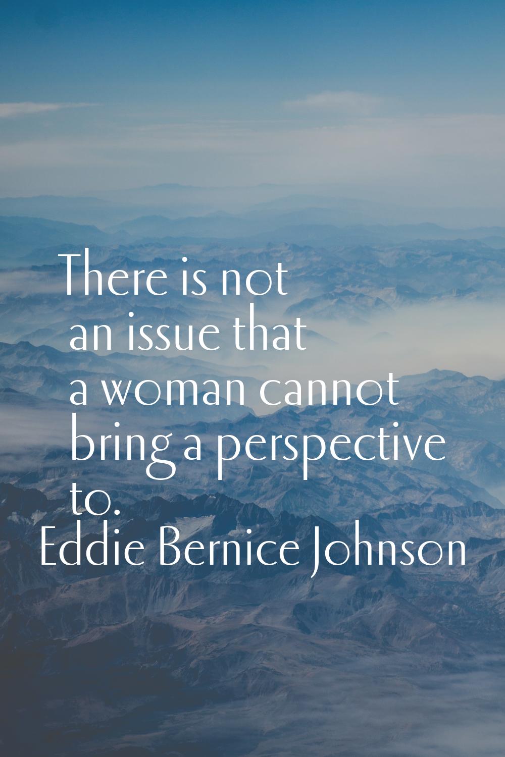 There is not an issue that a woman cannot bring a perspective to.