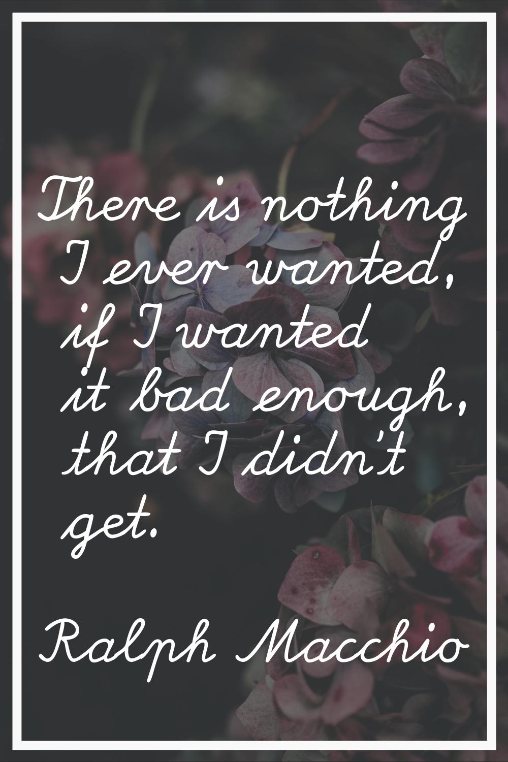 There is nothing I ever wanted, if I wanted it bad enough, that I didn't get.