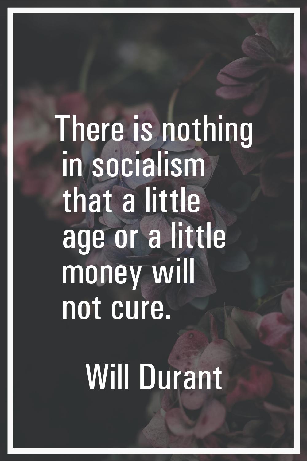 There is nothing in socialism that a little age or a little money will not cure.