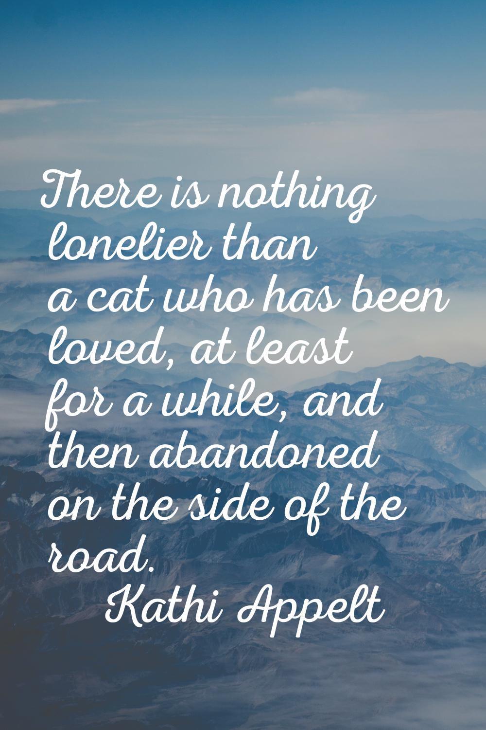 There is nothing lonelier than a cat who has been loved, at least for a while, and then abandoned o