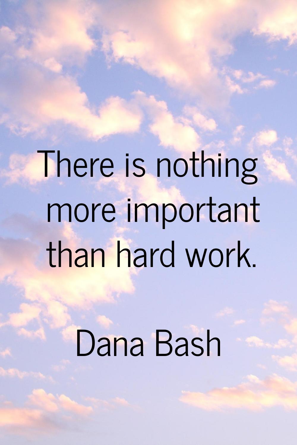 There is nothing more important than hard work.