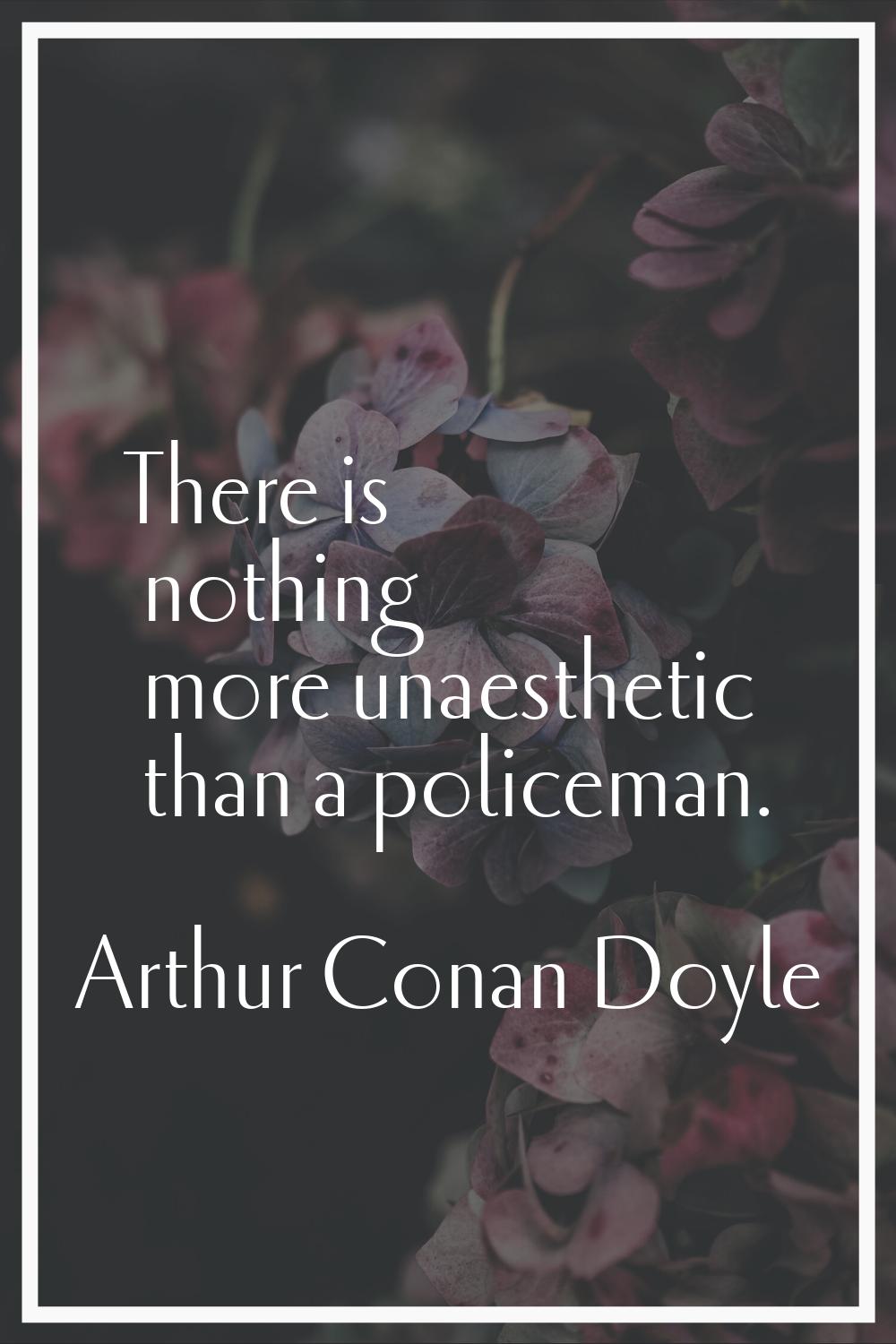There is nothing more unaesthetic than a policeman.