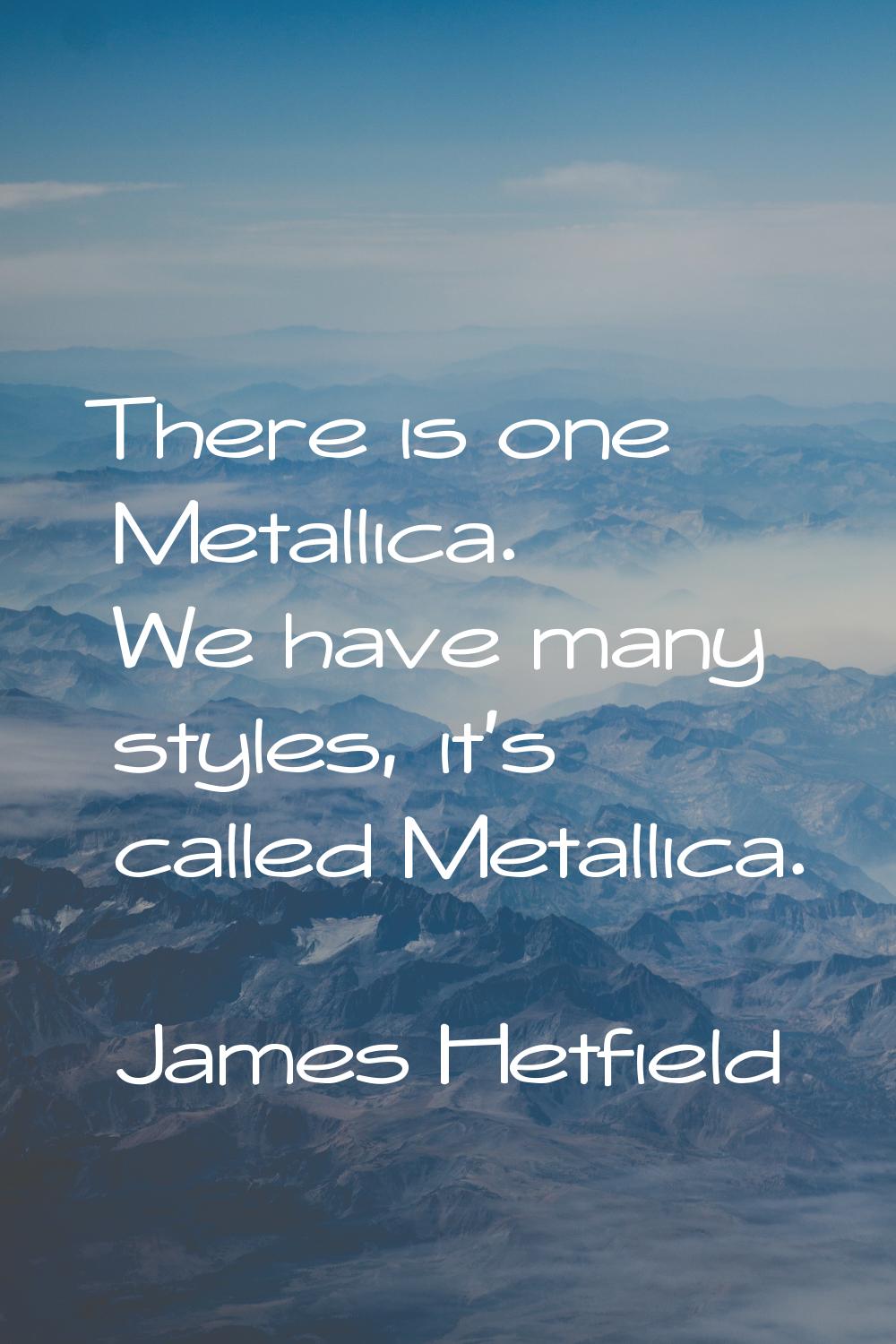 There is one Metallica. We have many styles, it's called Metallica.