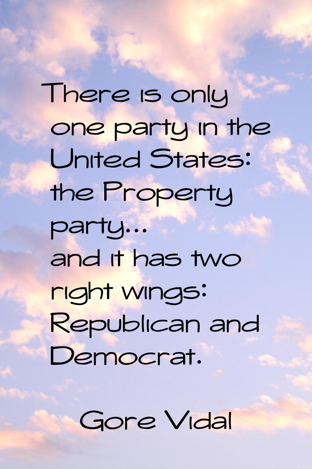 There is only one party in the United States: the Property party... and it has two right wings: Rep