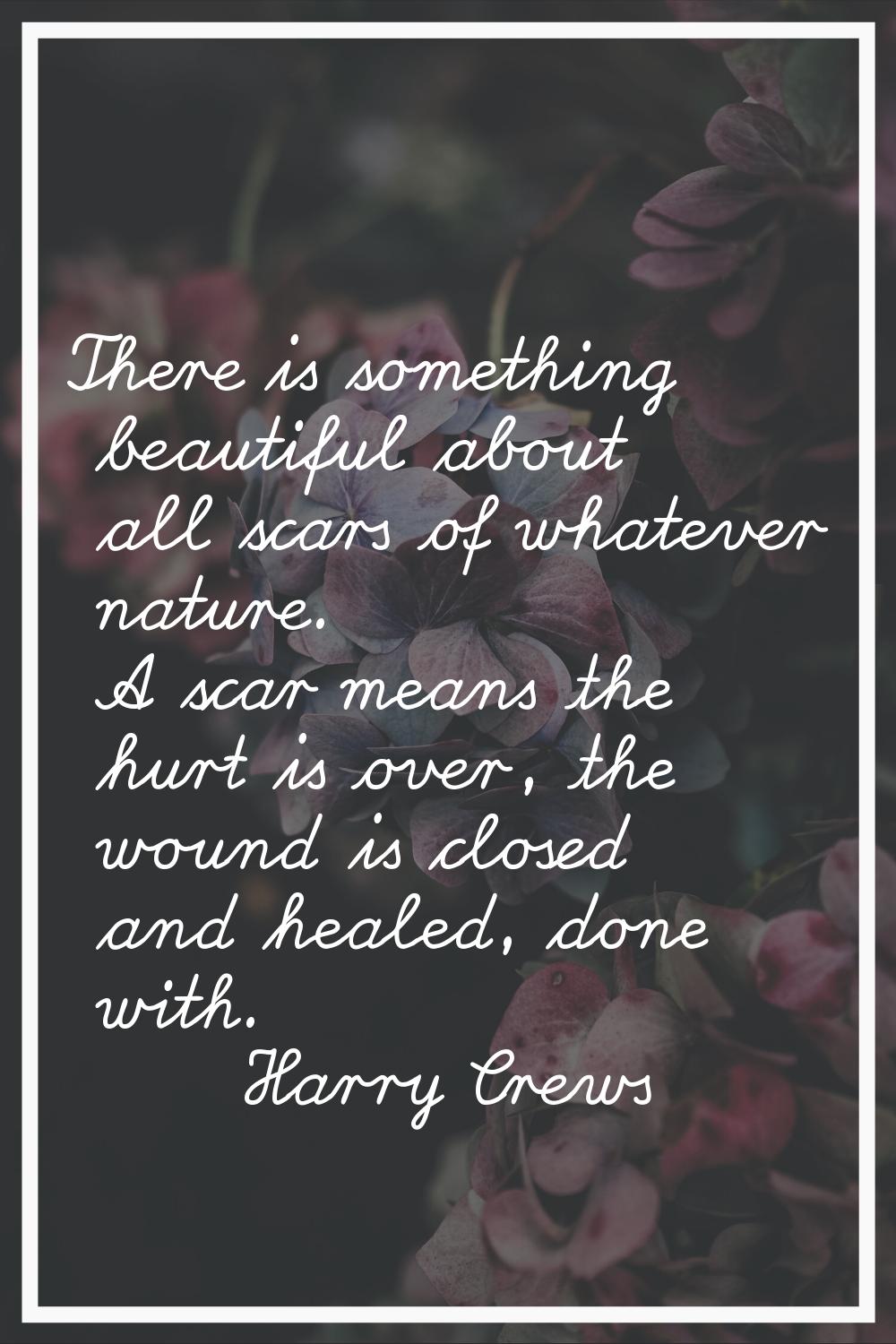 There is something beautiful about all scars of whatever nature. A scar means the hurt is over, the