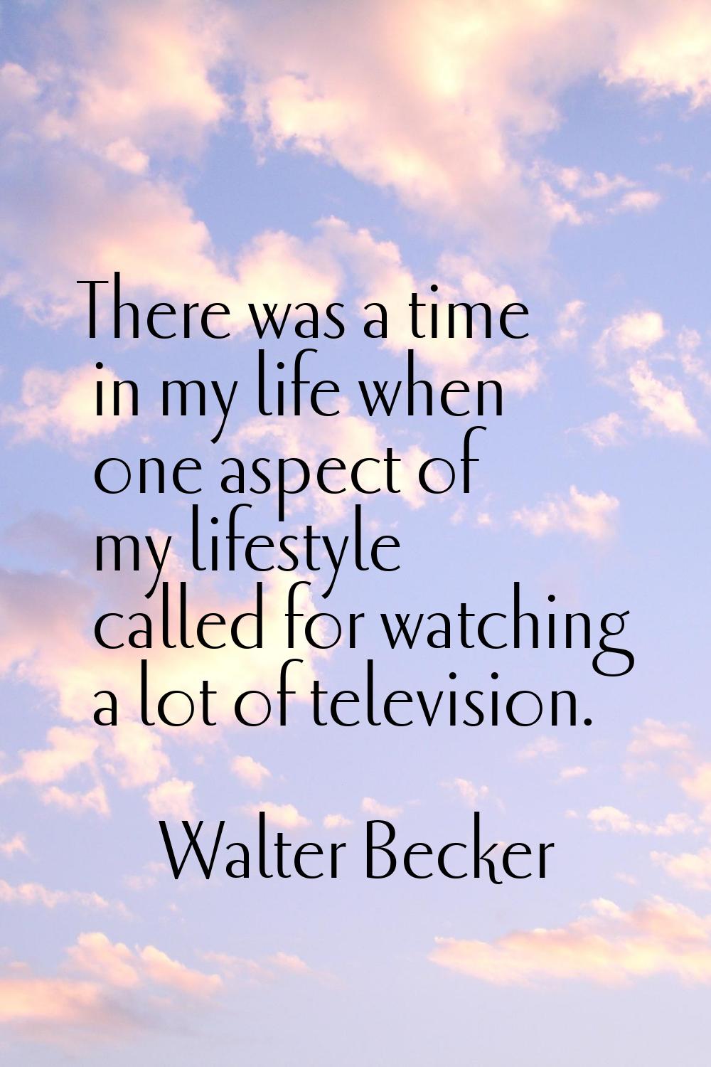 There was a time in my life when one aspect of my lifestyle called for watching a lot of television