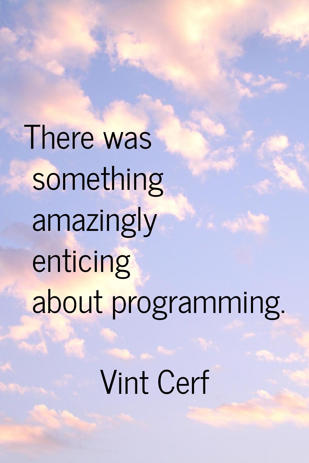 There was something amazingly enticing about programming.