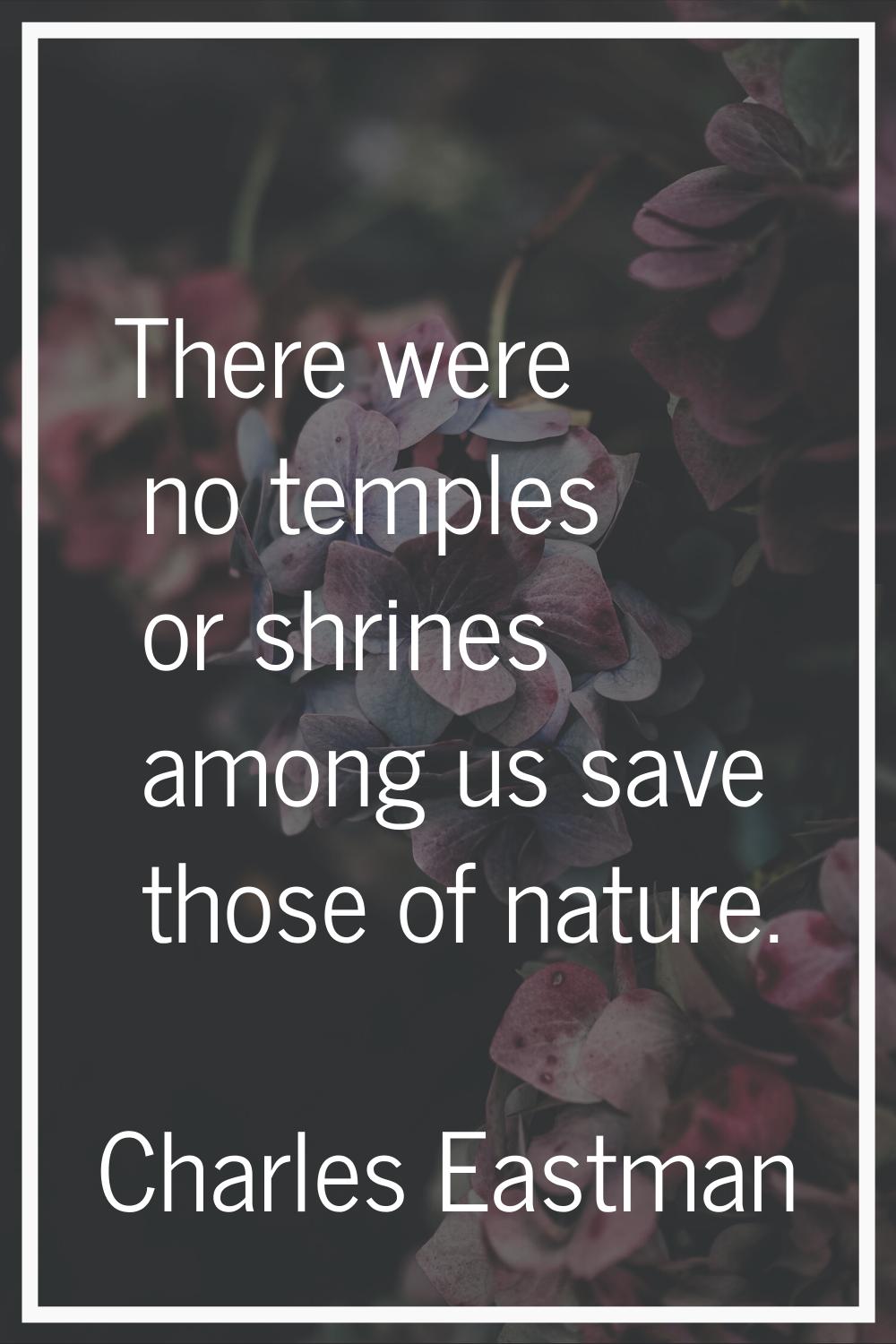 There were no temples or shrines among us save those of nature.