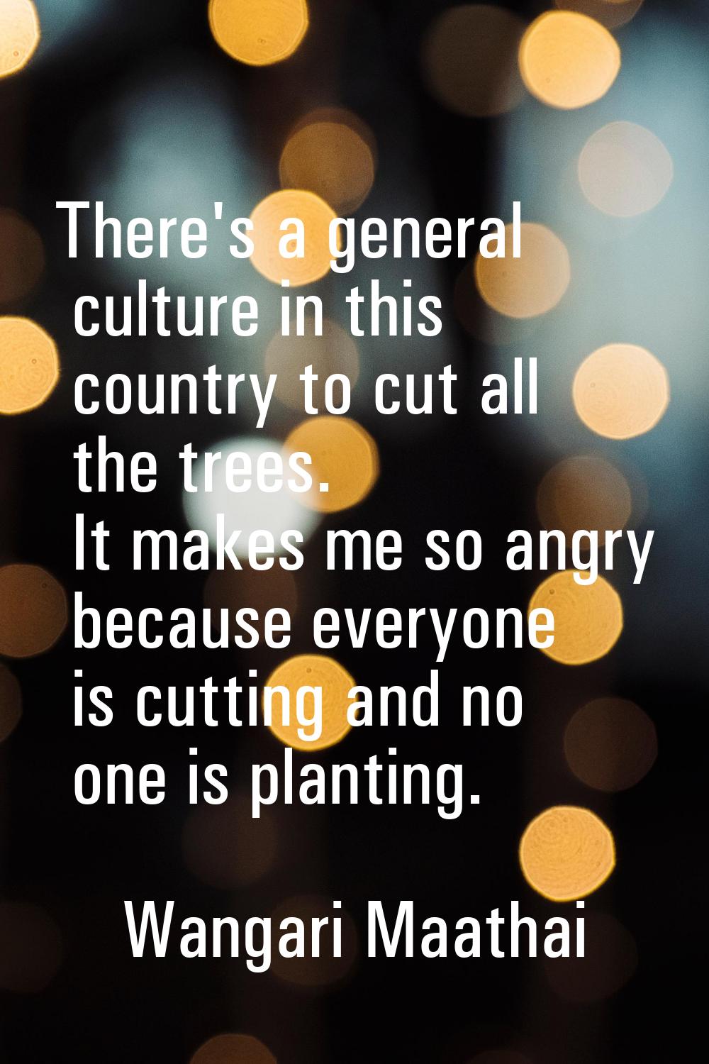 There's a general culture in this country to cut all the trees. It makes me so angry because everyo