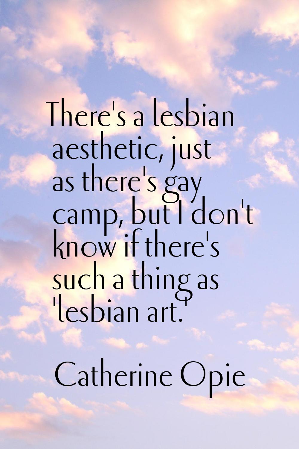 There's a lesbian aesthetic, just as there's gay camp, but I don't know if there's such a thing as 