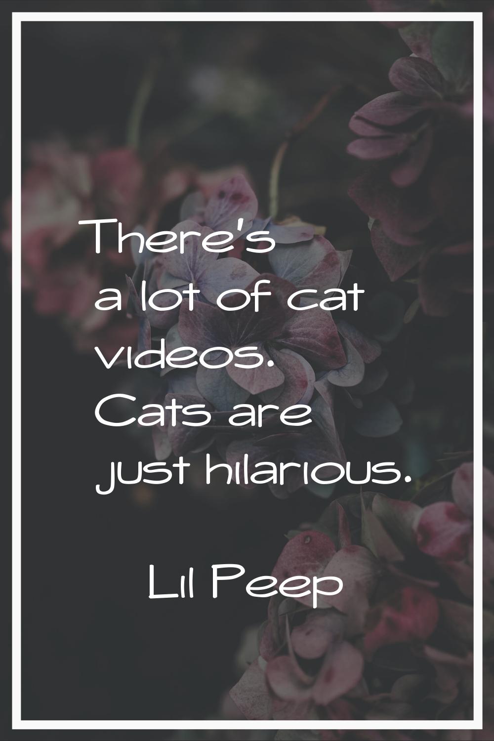 There's a lot of cat videos. Cats are just hilarious.