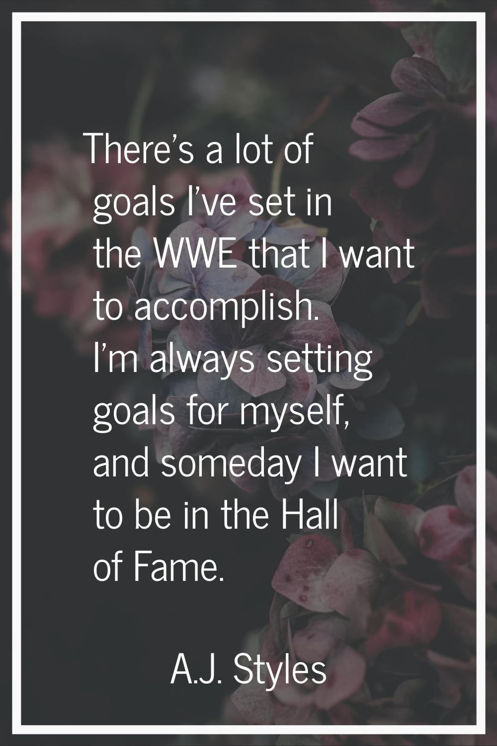 There's a lot of goals I've set in the WWE that I want to accomplish. I'm always setting goals for 