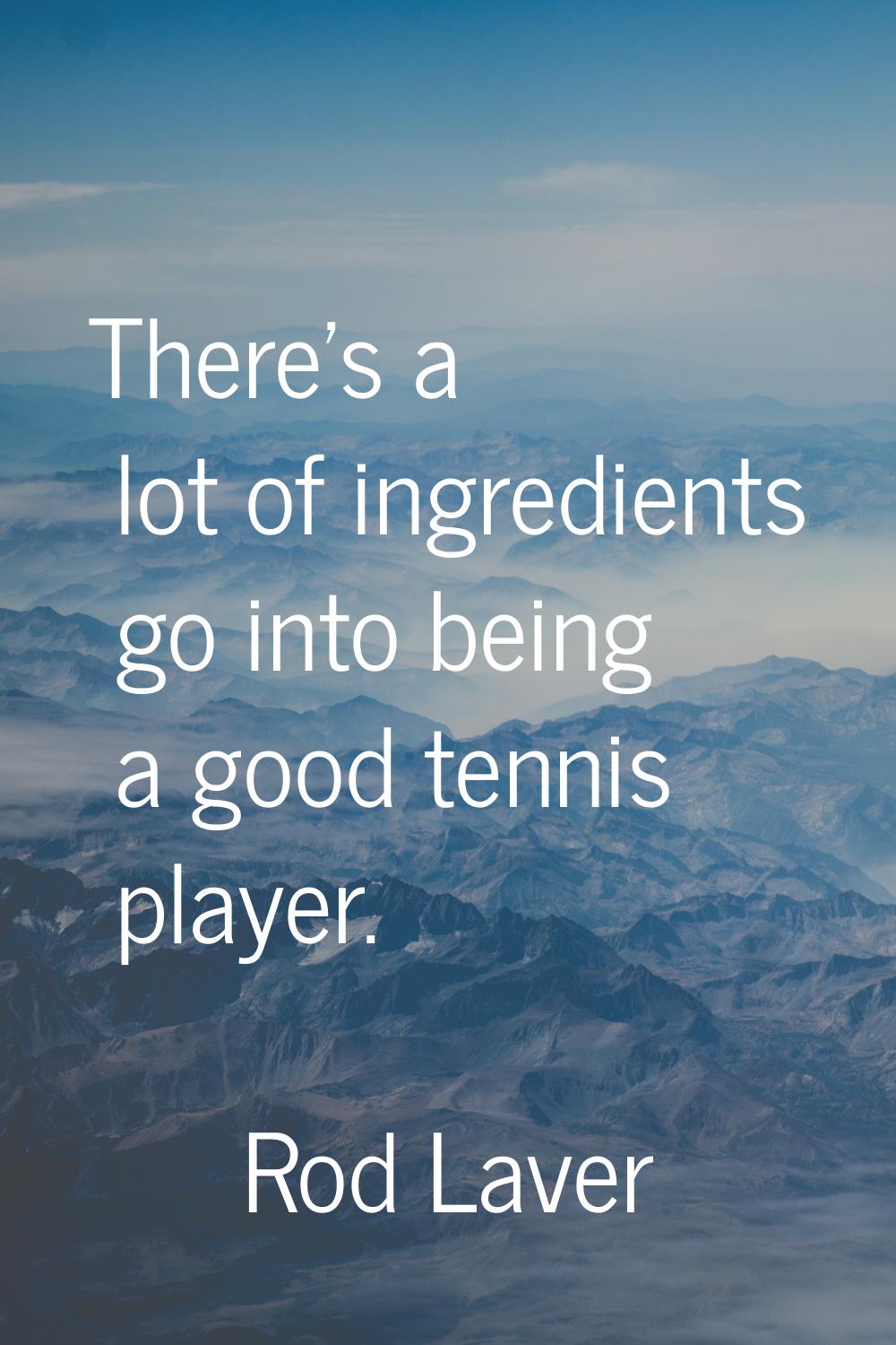 There's a lot of ingredients go into being a good tennis player.