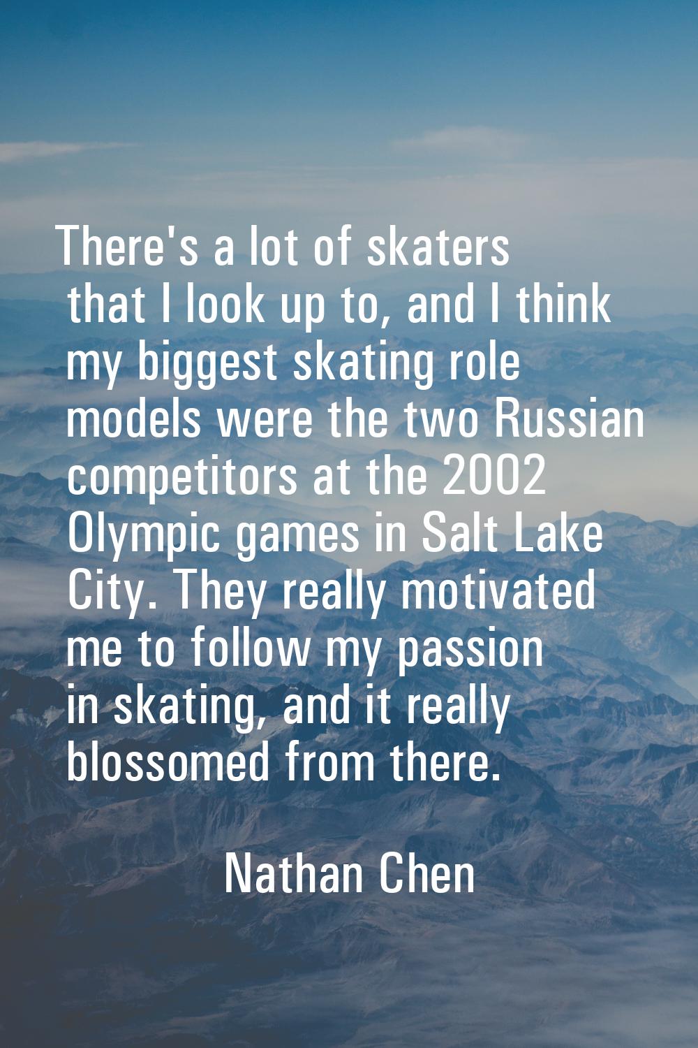 There's a lot of skaters that I look up to, and I think my biggest skating role models were the two
