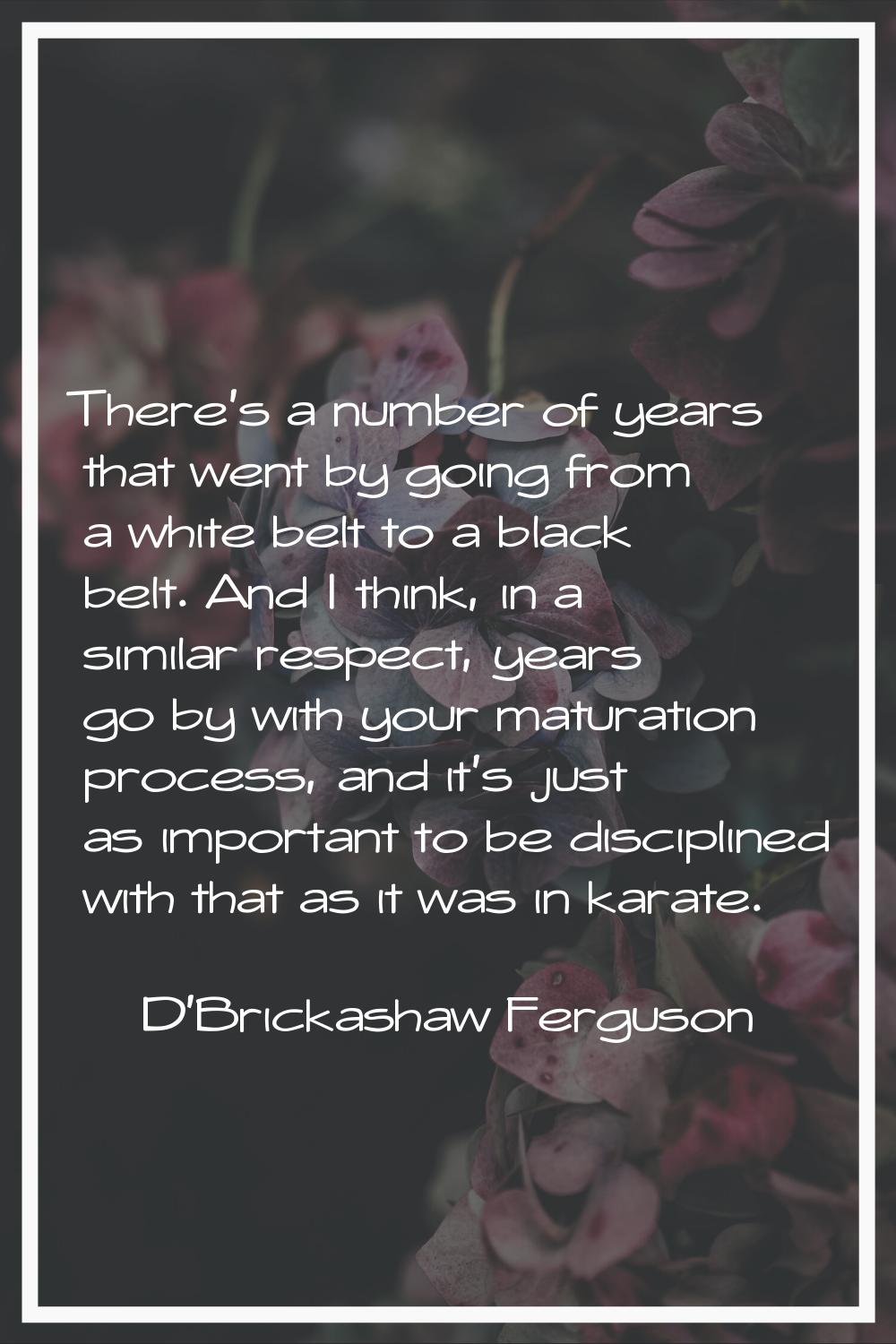 There's a number of years that went by going from a white belt to a black belt. And I think, in a s