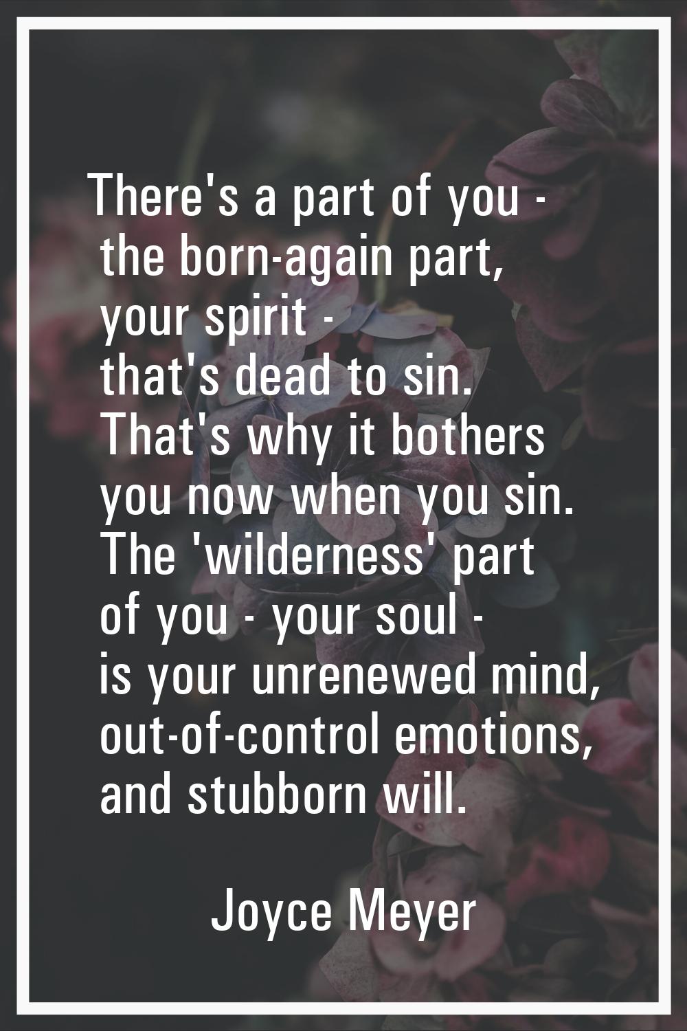 There's a part of you - the born-again part, your spirit - that's dead to sin. That's why it bother