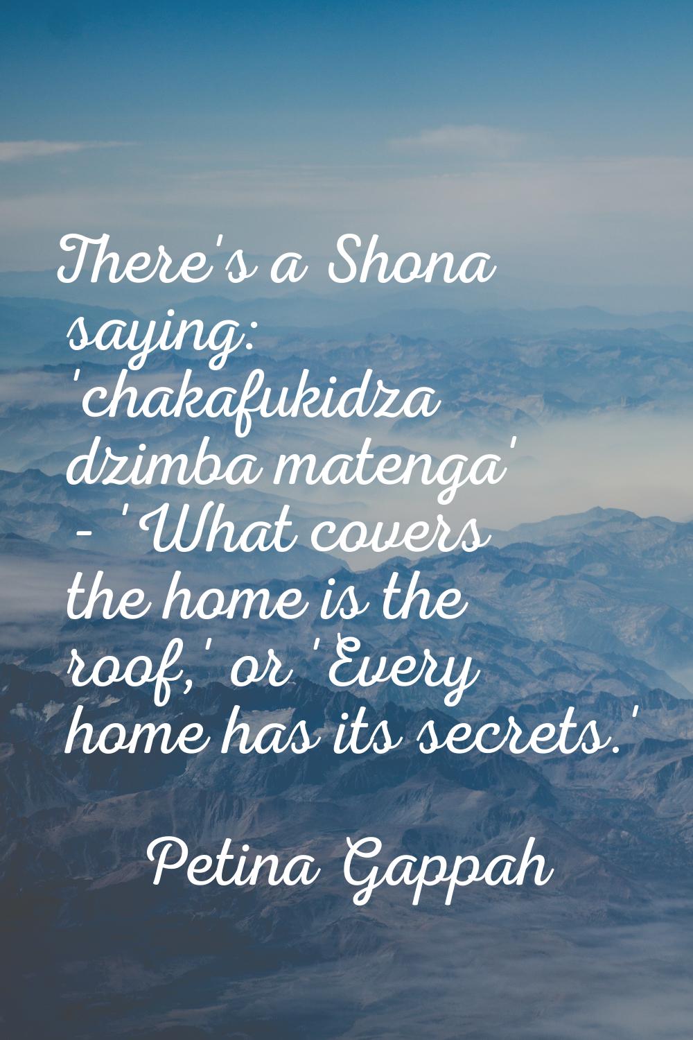 There's a Shona saying: 'chakafukidza dzimba matenga' - 'What covers the home is the roof,' or 'Eve
