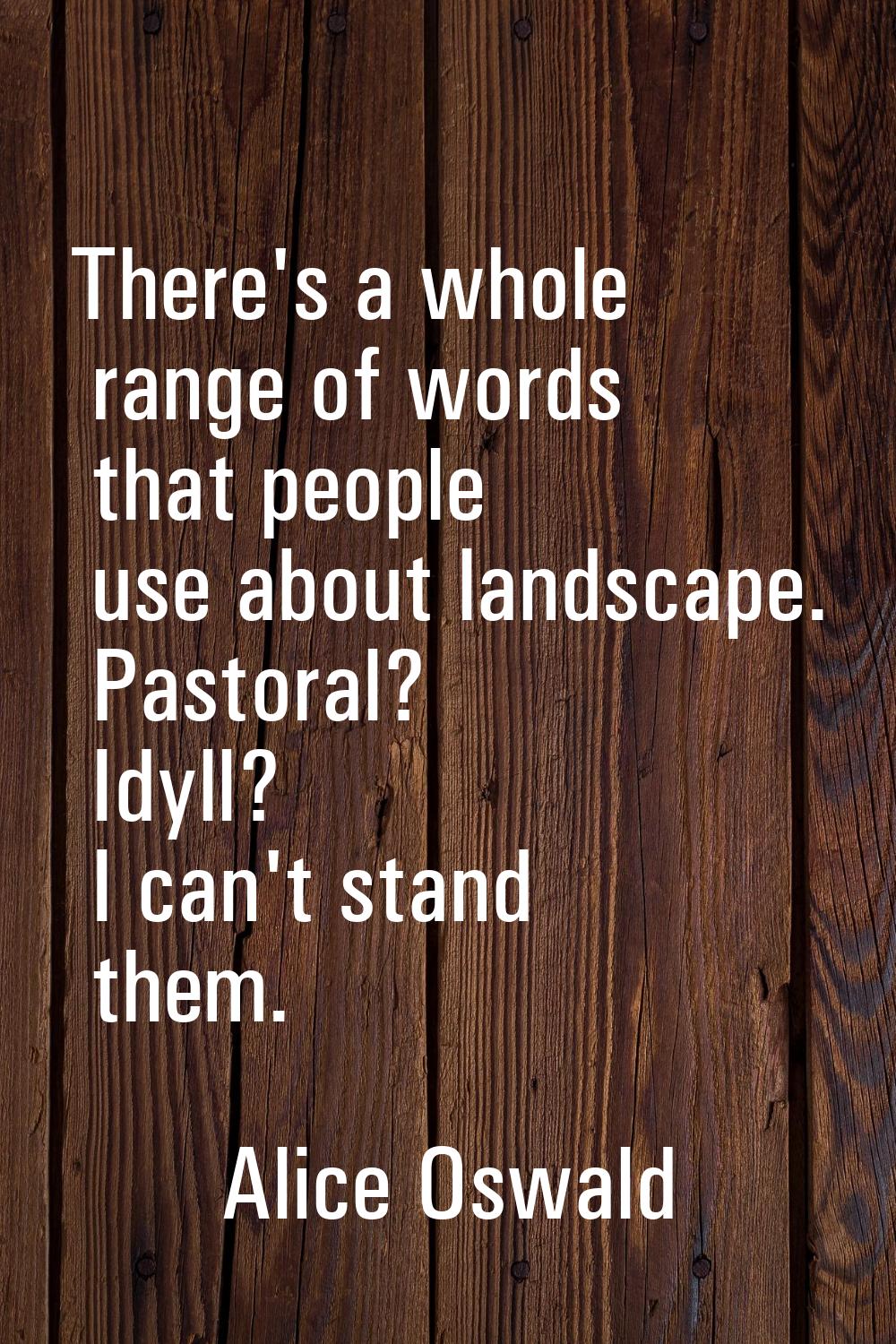 There's a whole range of words that people use about landscape. Pastoral? Idyll? I can't stand them