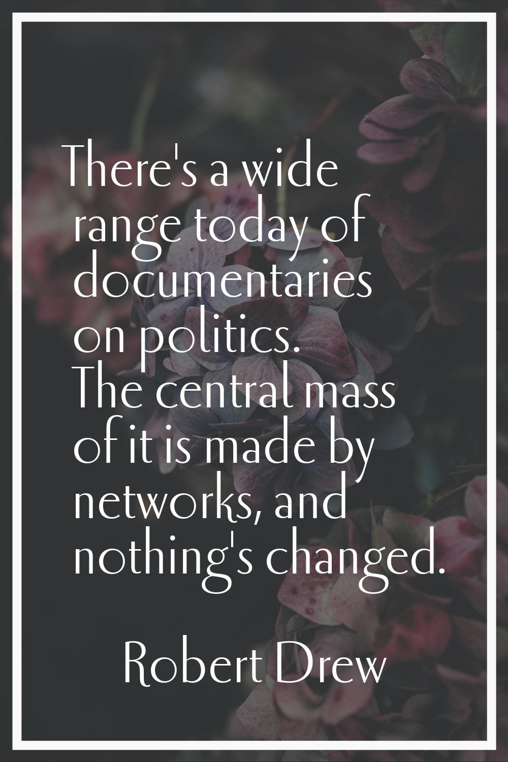 There's a wide range today of documentaries on politics. The central mass of it is made by networks