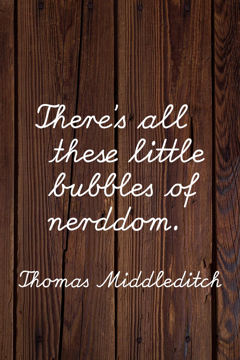 There's all these little bubbles of nerddom.