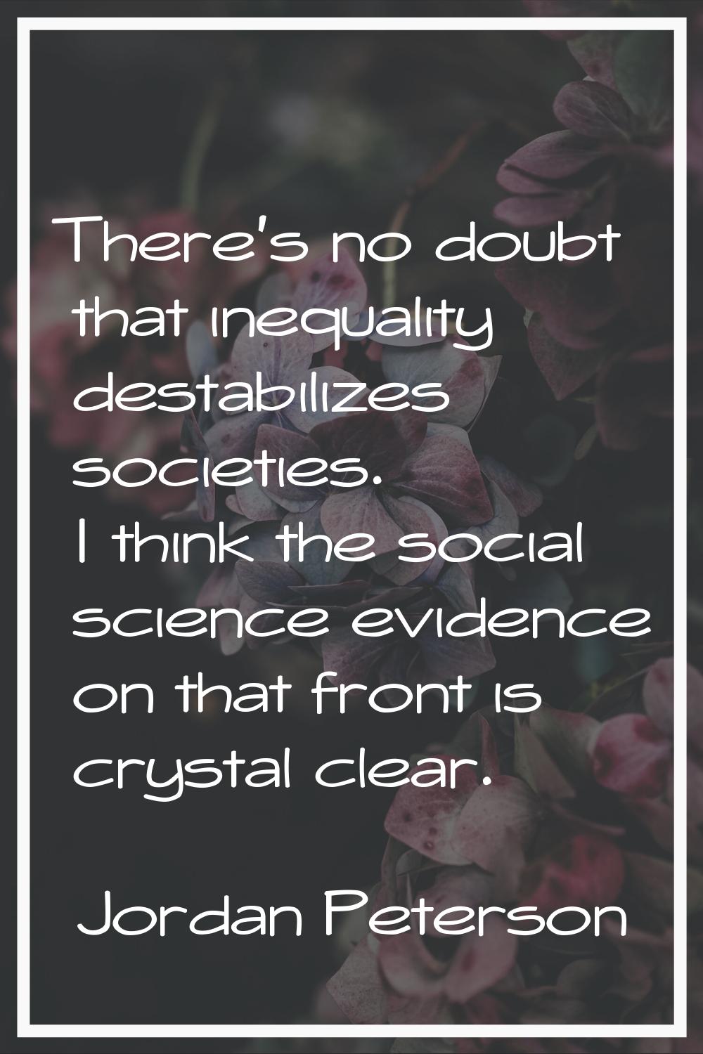 There's no doubt that inequality destabilizes societies. I think the social science evidence on tha