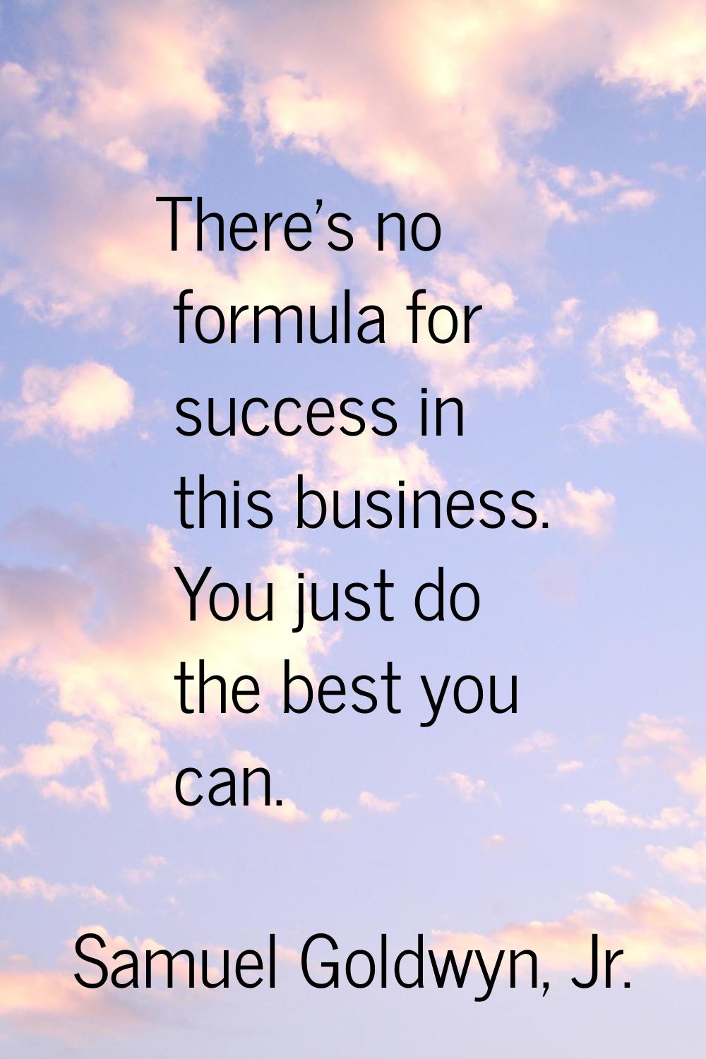 There's no formula for success in this business. You just do the best you can.
