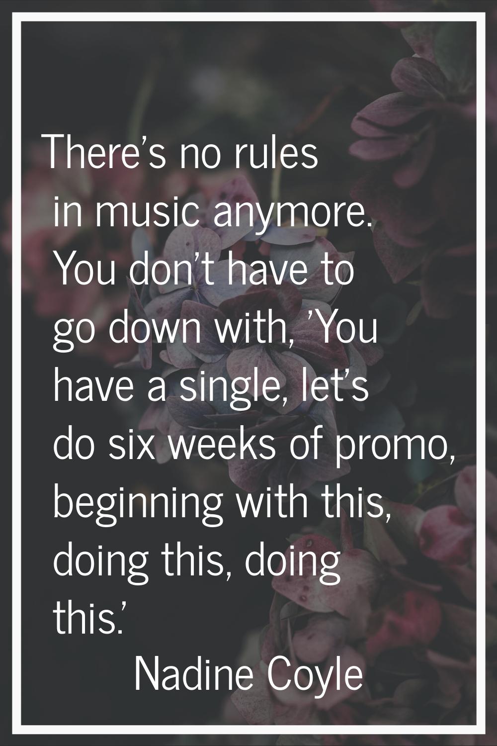 There's no rules in music anymore. You don't have to go down with, 'You have a single, let's do six