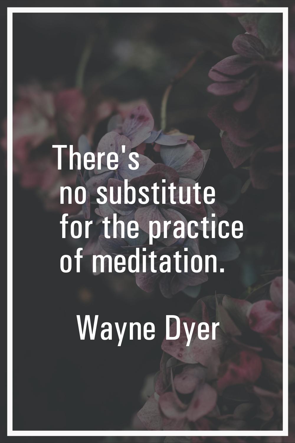 There's no substitute for the practice of meditation.