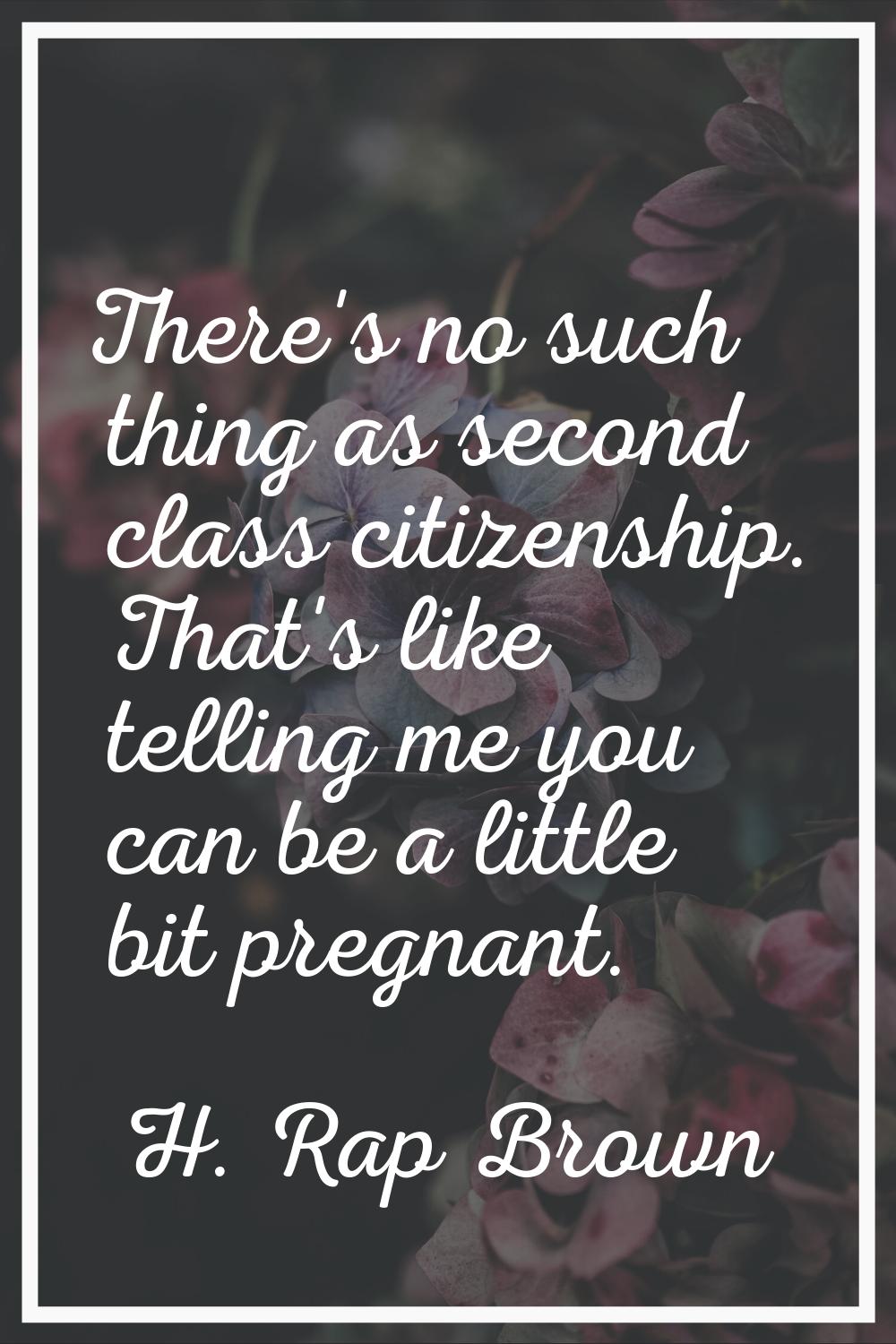 There's no such thing as second class citizenship. That's like telling me you can be a little bit p