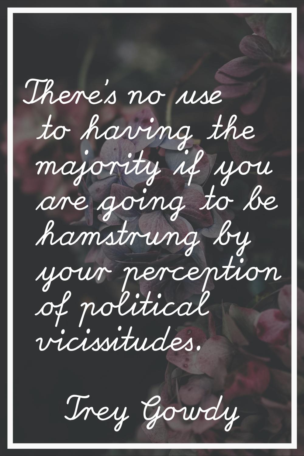 There's no use to having the majority if you are going to be hamstrung by your perception of politi